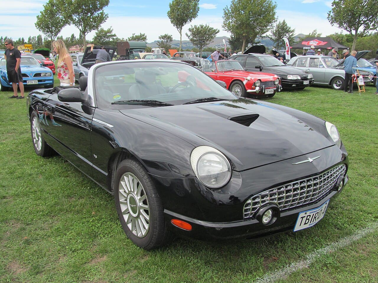 Ford Thunderbird, representative photo